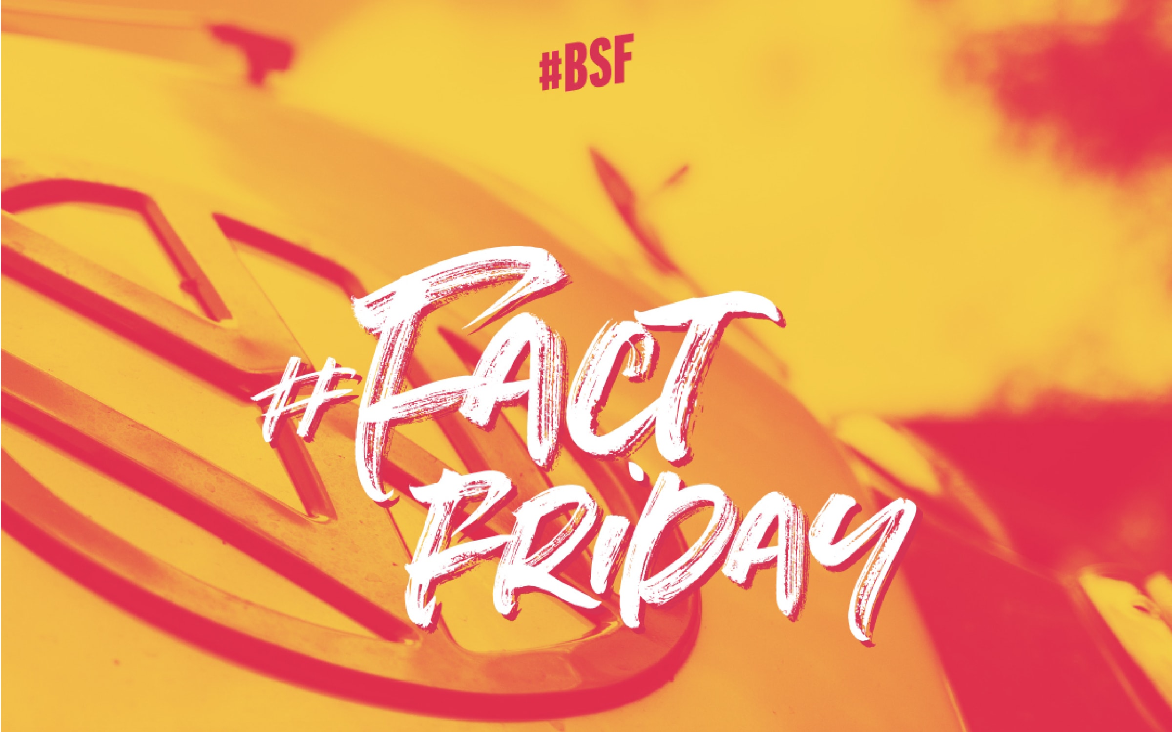 Neu: Der FACT FRIDAY zum Bulli Summer Festival